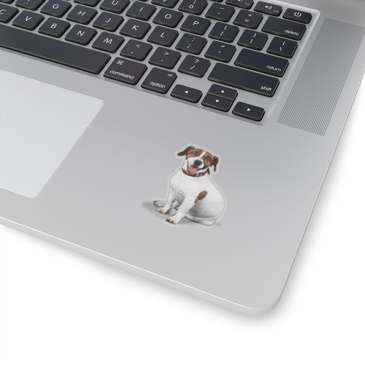 Custom Pet Stickers